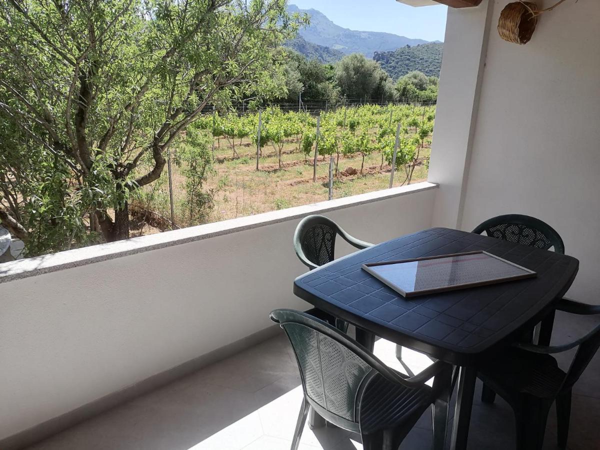 Agriturismo "Pirastreri" Синискола Экстерьер фото
